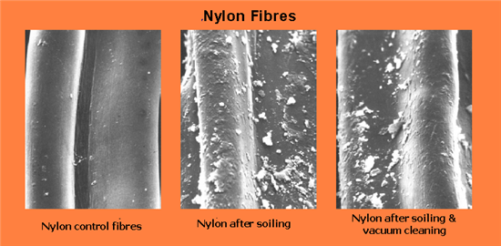 Nylon Carpets under the microscope