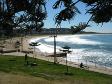 Spring has come to Dee Why Beach