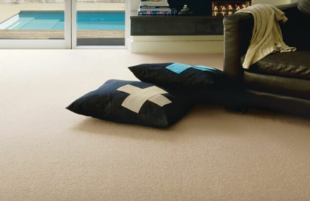 Solution Dyed Nylon Carpets