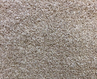 Dyed Carpet 12